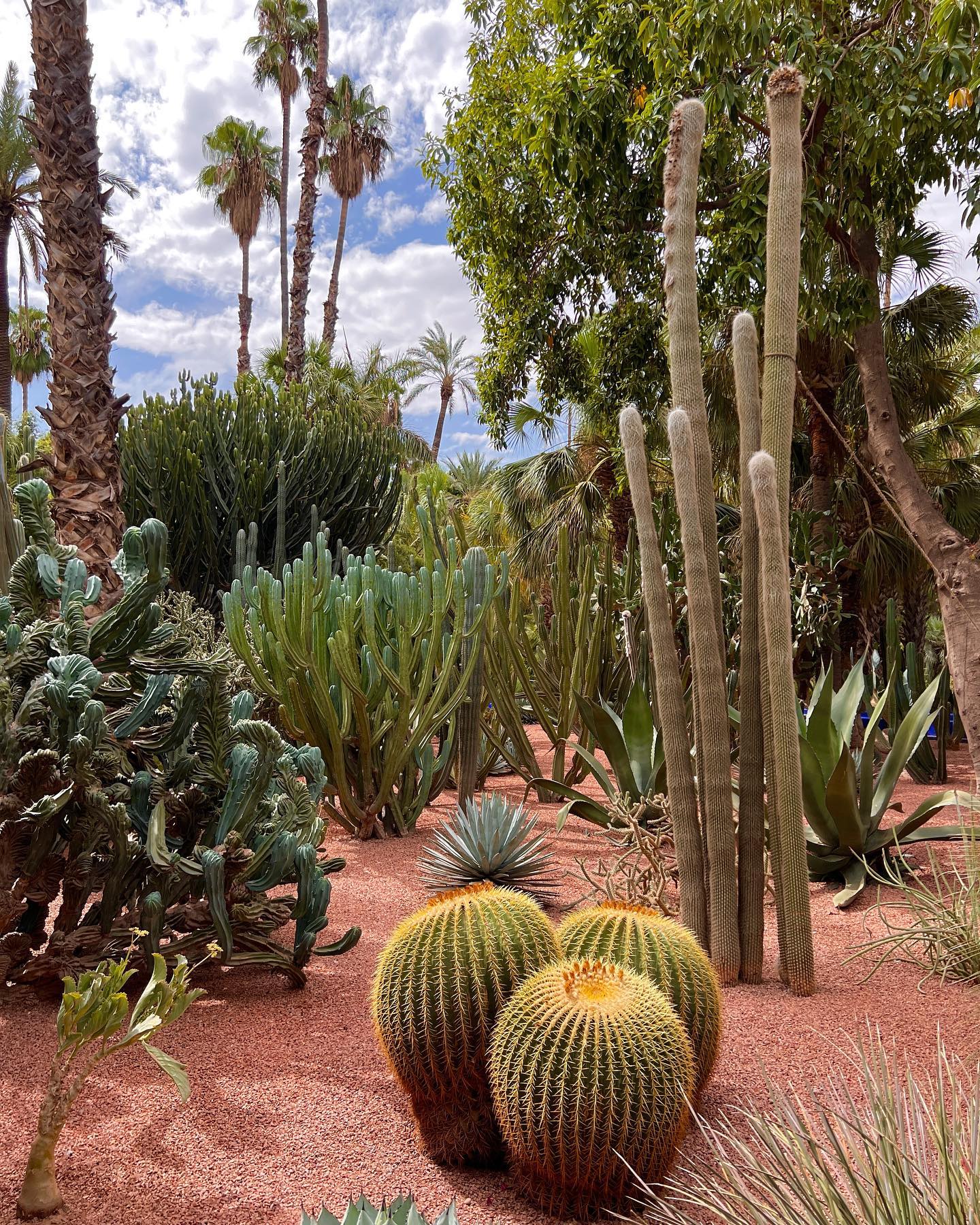 Marrakech18