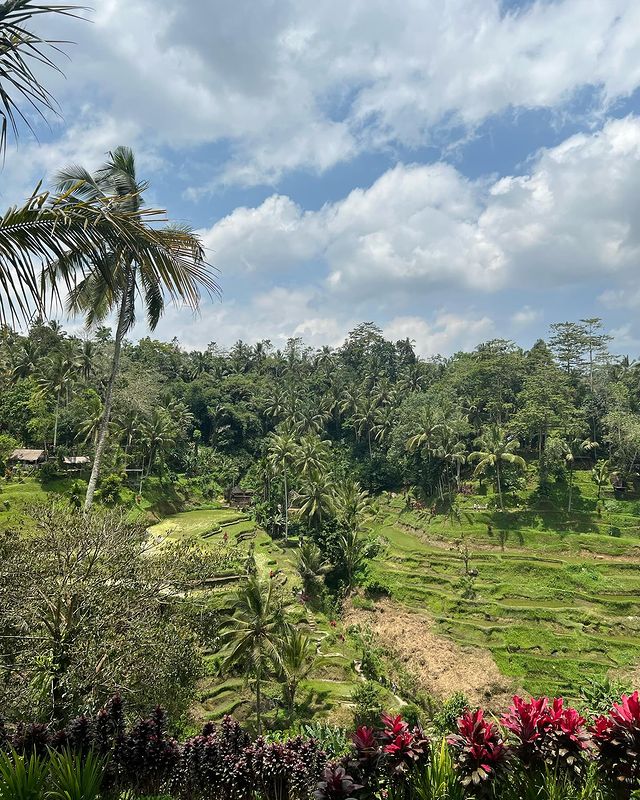 bali05